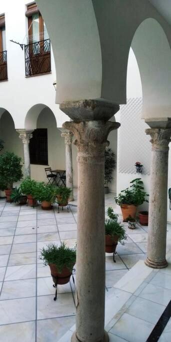 Disfruta De La Historica Cordoba Lägenhet Exteriör bild